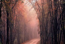 毕尔巴鄂主场失利，西甲走势令人揪心