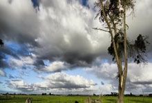 欧洲豪门球队赛季表现低迷，葡萄牙球员登顶射手榜