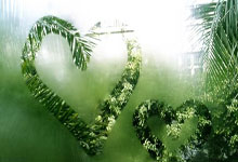 巴黎圣日耳曼在法甲积分榜上领先一步