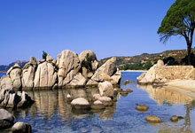 克罗地亚岛国勇夺前程，扬名锦标香凤