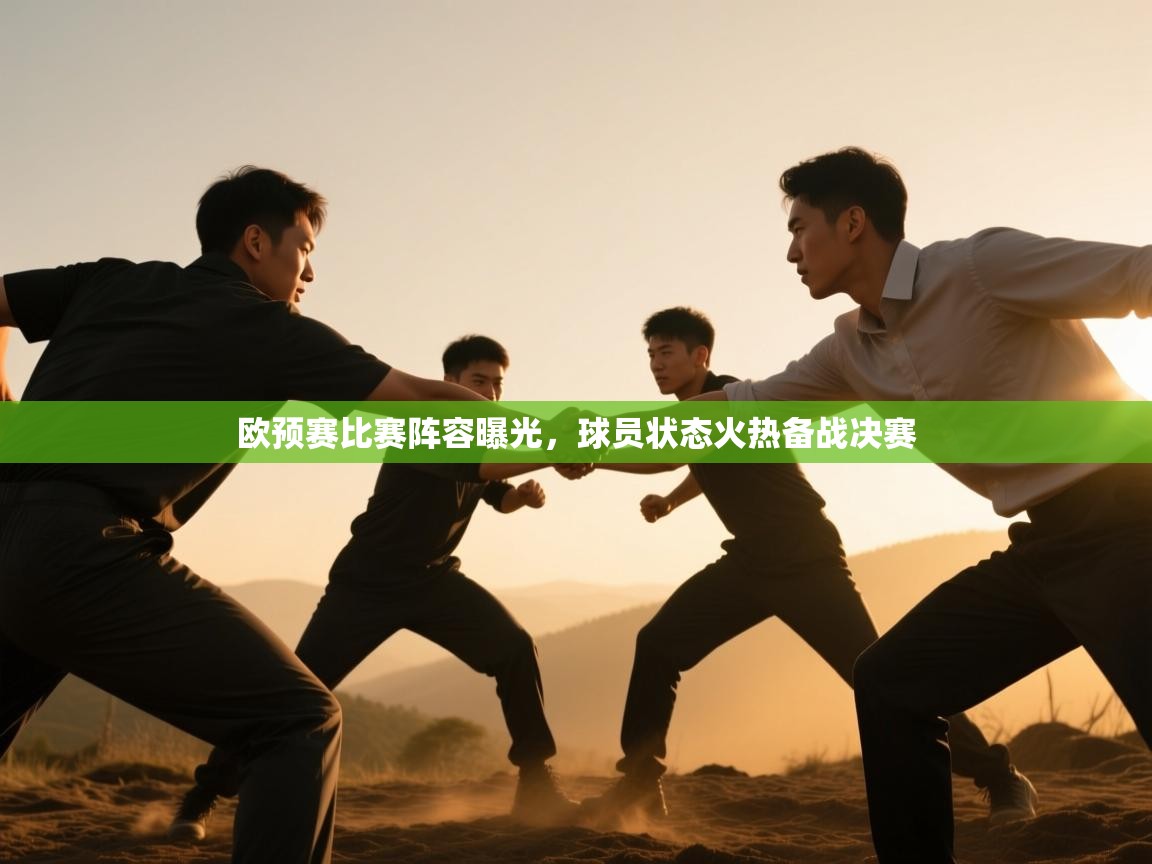 欧预赛比赛阵容曝光,球员状态火热备战决赛 第2张