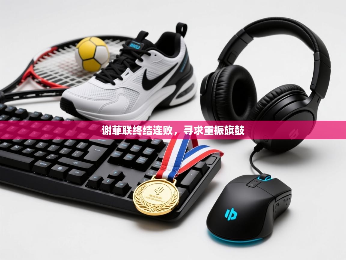 谢菲联终结连败，寻求重振旗鼓  第1张