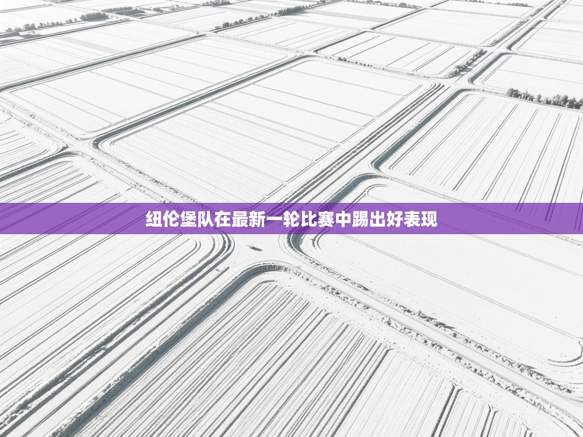 纽伦堡队在最新一轮比赛中踢出好表现  第2张