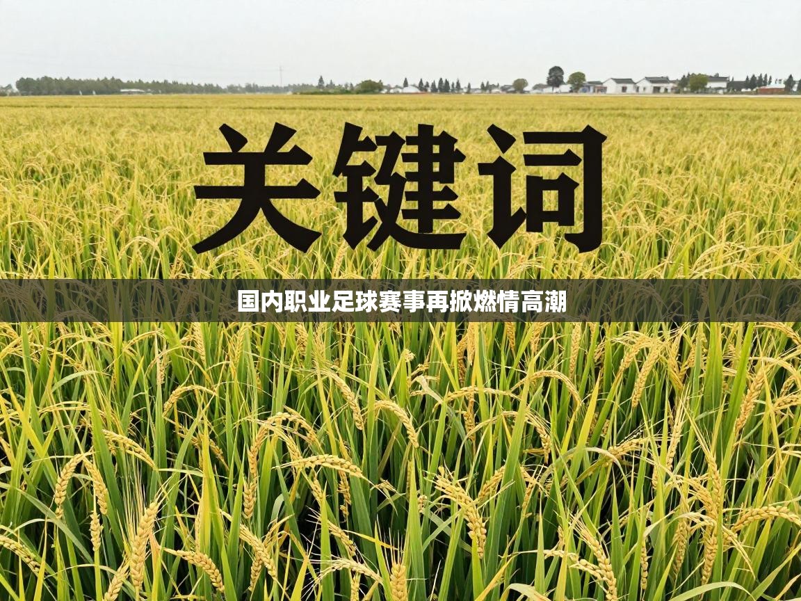 国内职业足球赛事再掀燃情高潮  第1张