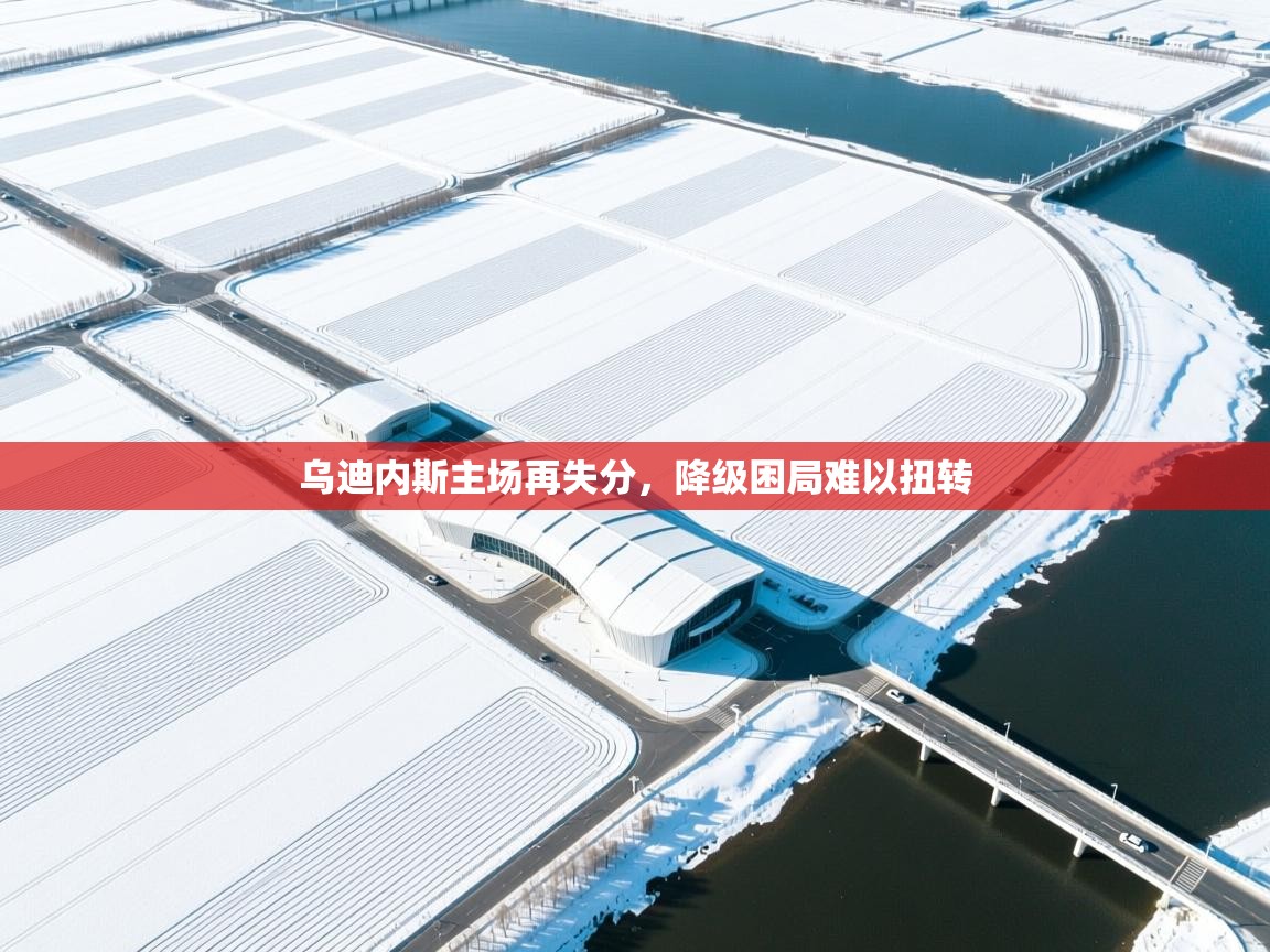 乌迪内斯主场再失分，降级困局难以扭转  第2张