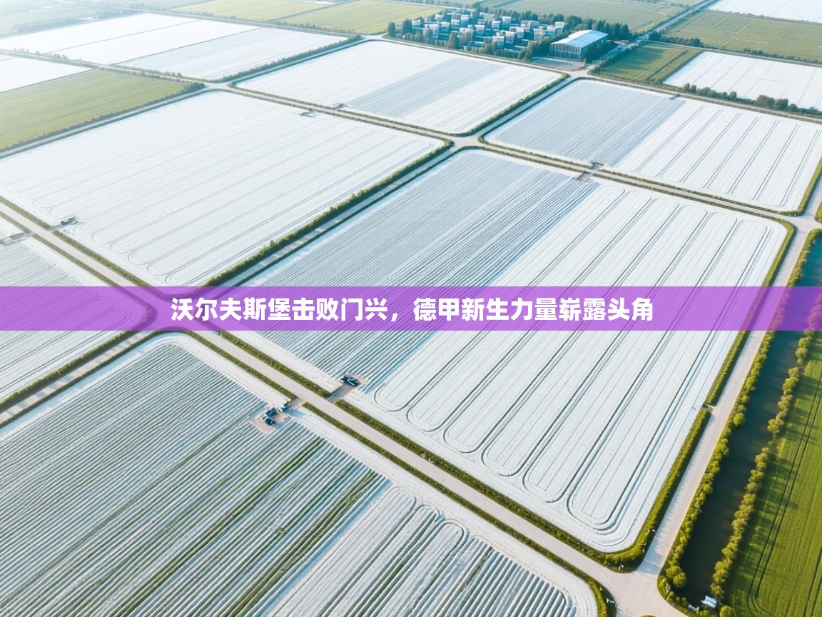 沃尔夫斯堡击败门兴,德甲新生力量崭露头角 第2张